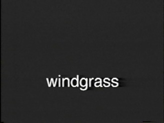 windgrasssubm-2